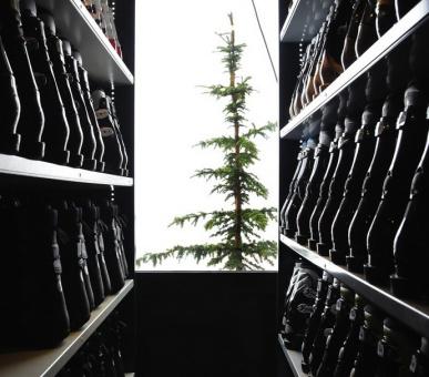 Фото Alpes Hotel du Pralong (Франция, Куршевель) 21