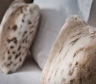 Фото Alpes Hotel du Pralong (Франция, Куршевель) 27