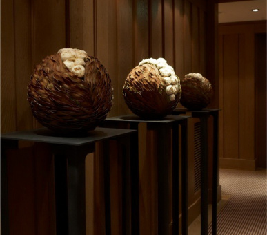 Фото Cheval Blanc (Франция, Куршевель) 48