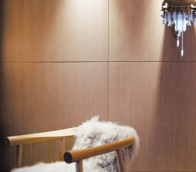 Фото Cheval Blanc (Франция, Куршевель) 45