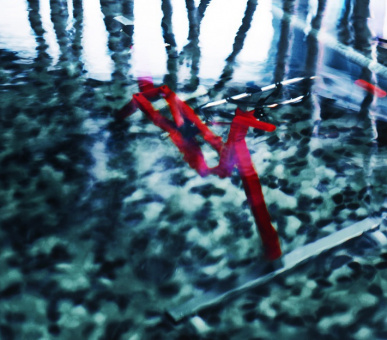 Фото Cheval Blanc (Франция, Куршевель) 18