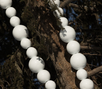 Фото Cheval Blanc (Франция, Куршевель) 49