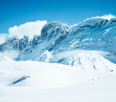 Картинка 12 Фото 12