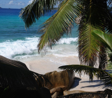 Фото Le Domaine de l'Orangeraie (Сейшельские острова, о. Ла Диг) 17