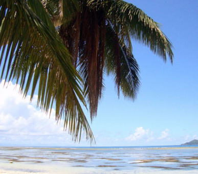 Фото Le Domaine de l'Orangeraie (Сейшельские острова, о. Ла Диг) 20