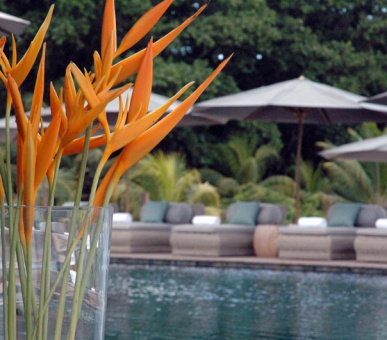 Фото Le Domaine de l'Orangeraie (Сейшельские острова, о. Ла Диг) 29