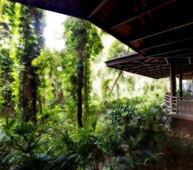 Картинка The Andaman (Малайзия, о. Лангкави) 28 Фото The Andaman (Малайзия, о. Лангкави) 28