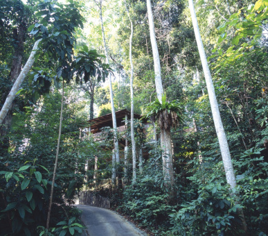 Картинка The Datai (Малайзия, о. Лангкави) 9 Фото The Datai (Малайзия, о. Лангкави) 9