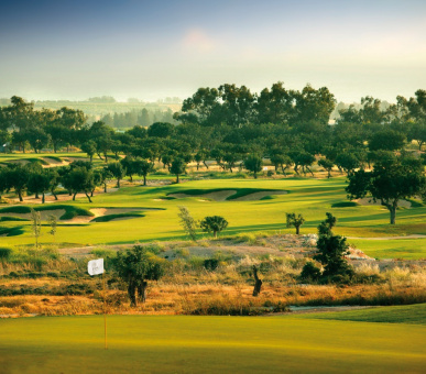 Картинка Amathus Beach (Кипр, Лимассол) 29 Фото Amathus Beach (Кипр, Лимассол) 29