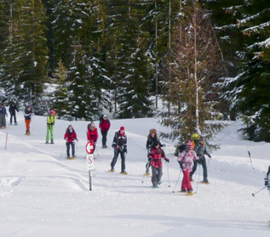 Фото TASIS - The American School in Switzerland (Швейцария, Школы) 7