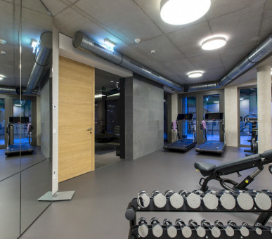 Фото Elisabeth Hotel (Австрия, Майерхофен) 19