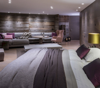 Фото Elisabeth Hotel (Австрия, Майерхофен) 9