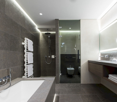 Фото Elisabeth Hotel (Австрия, Майерхофен) 26