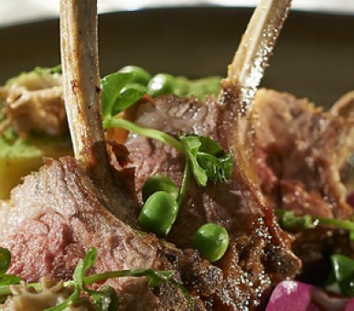 Картинка Mandarin Oriental, Marrakech (Марокко, Марракеш) 8 Фото Mandarin Oriental, Marrakech (Марокко, Марракеш) 8