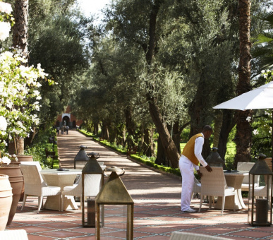 Картинка La Mamounia (Марокко, Марракеш) 19 Фото La Mamounia (Марокко, Марракеш) 19