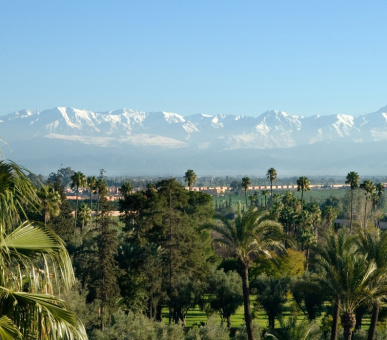 Картинка La Mamounia (Марокко, Марракеш) 9 Фото La Mamounia (Марокко, Марракеш) 9