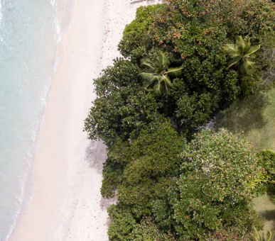 Картинка 5 Фото 5