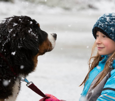Фото Les Chalets du Mont d’Arbois, Meg?ve, A Four Seasons Hotel 16