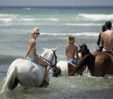 Картинка Half Moon - A RockResort (Ямайка, Монтего Бей) 3 Фото Half Moon - A RockResort (Ямайка, Монтего Бей) 3