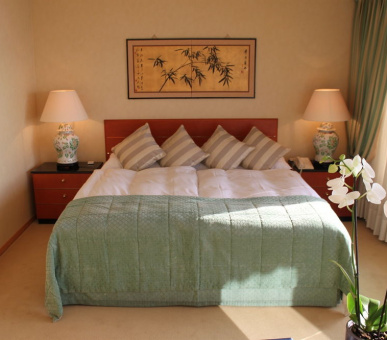 Фото Royal Plaza (Швейцария, Монтре) 18