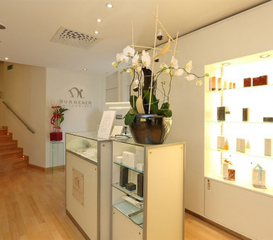 Фото Royal Plaza (Швейцария, Монтре) 29