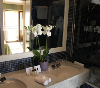 Фото Royal Plaza (Швейцария, Монтре) 25