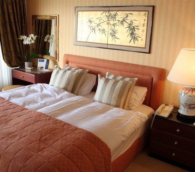 Фото Royal Plaza (Швейцария, Монтре) 6