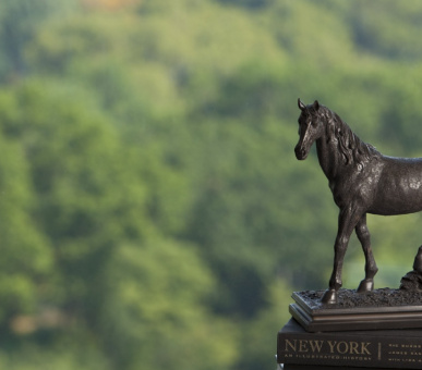 Картинка The Ritz-Carlton New York, Central Park (США, Нью-Йорк) 16 Фото The Ritz-Carlton New York, Central Park (США, Нью-Йорк) 16