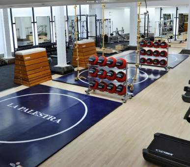 Картинка The Plaza 16 Фото The Plaza 16