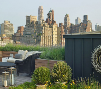 Картинка The Surrey (США, Нью-Йорк) 9 Фото The Surrey (США, Нью-Йорк) 9