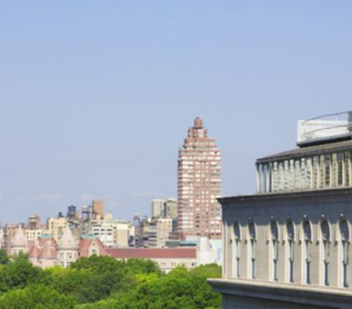 Картинка The Surrey (США, Нью-Йорк) 10 Фото The Surrey (США, Нью-Йорк) 10