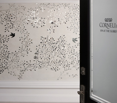 Картинка The Surrey (США, Нью-Йорк) 19 Фото The Surrey (США, Нью-Йорк) 19