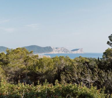 Картинка 11 Фото 11