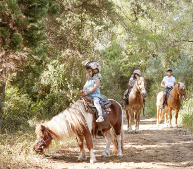 Картинка Grecotel Amirandes Exclusive Resort 14 Фото Grecotel Amirandes Exclusive Resort 14