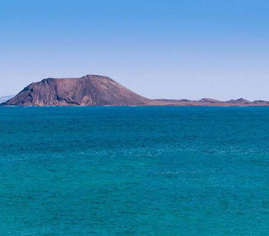 Картинка 31 Фото 31