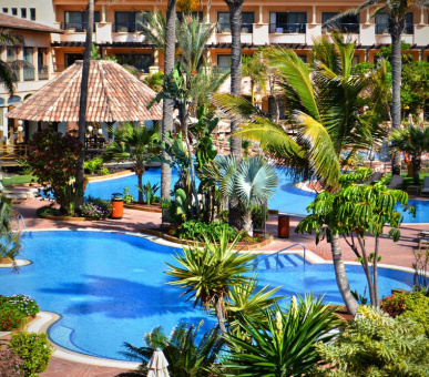 Картинка 29 Фото 29