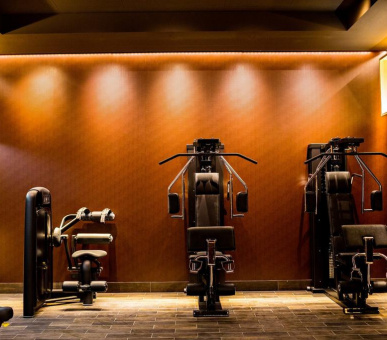 Картинка Prince de Galles 16 Фото Prince de Galles 16