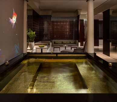 Фото Park Hyatt Paris-Vendome Palace (Франция, Париж) 14