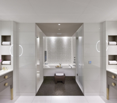 Фото Mandarin Oriental Paris Palace NEW!!! (Франция, Париж) 9