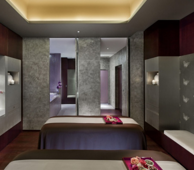 Фото Mandarin Oriental Paris Palace NEW!!! (Франция, Париж) 29