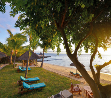 Картинка Paradis Hotel 59 Фото Paradis Hotel 59