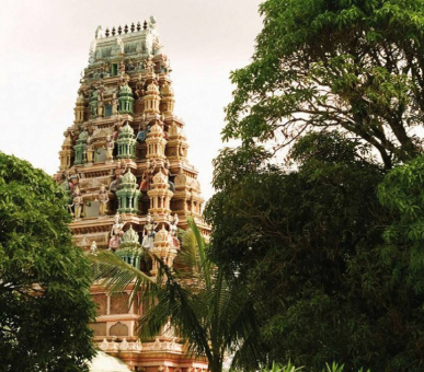 Фото Four Seasons Resort Mauritius at Anahita (, Маврикий) 35