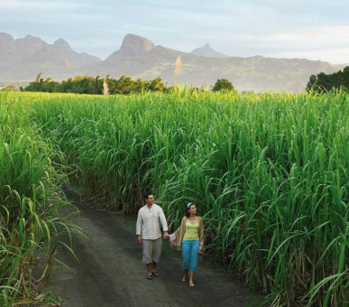 Фото Four Seasons Resort Mauritius at Anahita (, Маврикий) 31