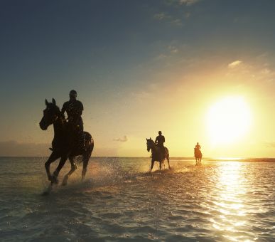 Картинка 5 Фото 5