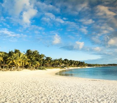 Картинка 6 Фото 6