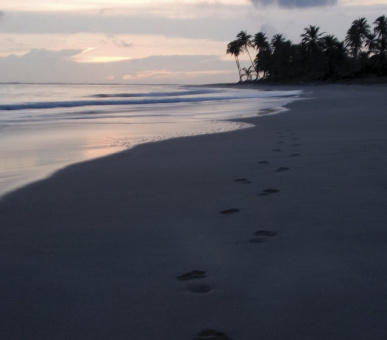 Фото Sivory Punta Cana (Доминиканская Республика, Пунта Кана) 16