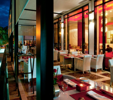 Картинка Sofitel Rabat Jardin des Roses (Марокко, Рабат) 16 Фото Sofitel Rabat Jardin des Roses (Марокко, Рабат) 16