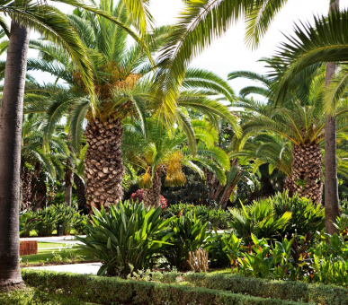 Картинка Sofitel Rabat Jardin des Roses (Марокко, Рабат) 10 Фото Sofitel Rabat Jardin des Roses (Марокко, Рабат) 10