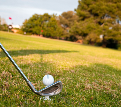 Картинка Sofitel Rabat Jardin des Roses (Марокко, Рабат) 25 Фото Sofitel Rabat Jardin des Roses (Марокко, Рабат) 25