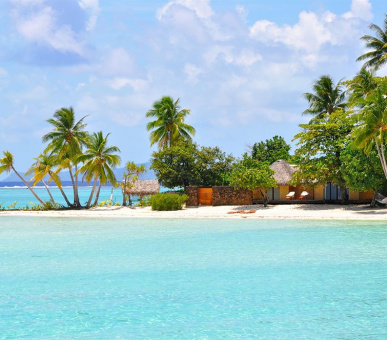 Картинка Le Taha`a Private Island 21 Фото Le Taha`a Private Island 21